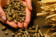 free Peters Finger biomass boiler quotes